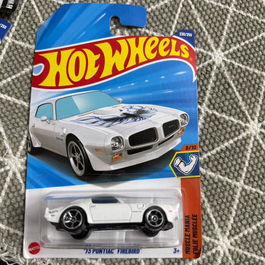 Hotwheels 2025 M Case ‘73 Pontiac Firebird